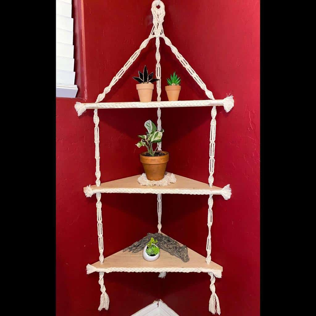 hanging corner shelf with pot plants