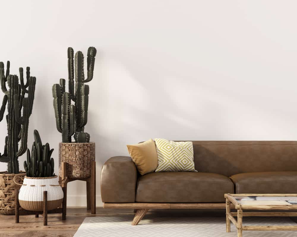boho style living room cactus brown couch