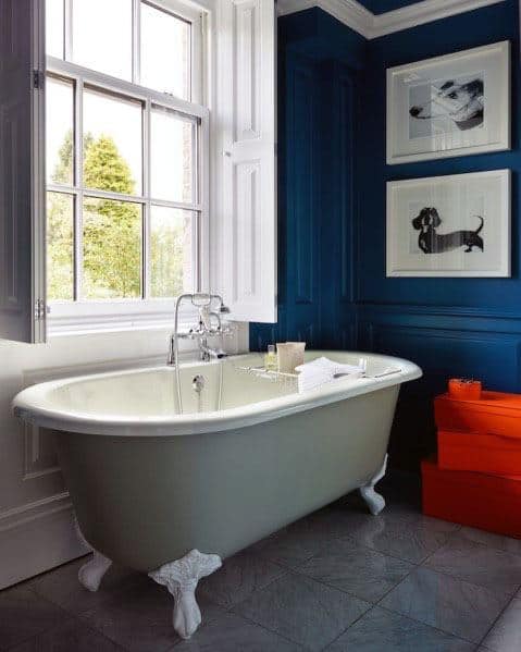freestanding bathtub blue accent wall dog photo wall art